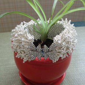 Meet your Posher, Bonnie